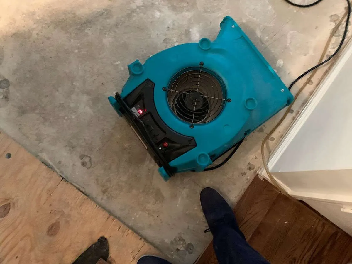 Air mover drying subfloor during Leak Detection & Repair in Federal Way